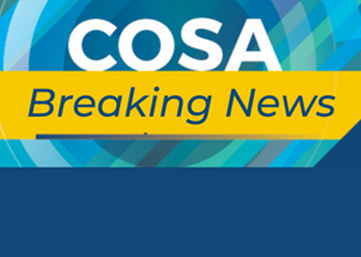 COSA's statement on the Voice to Parliament Image